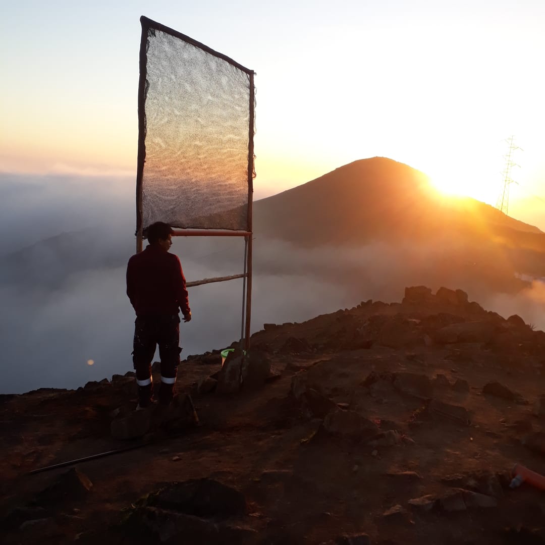 Fog Catchers test installation